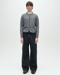 Common Divisor Pollux Denim