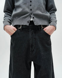 Common Divisor Pollux Denim