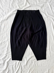 Homme Plisse Issey Miyake Double Pleated Pants