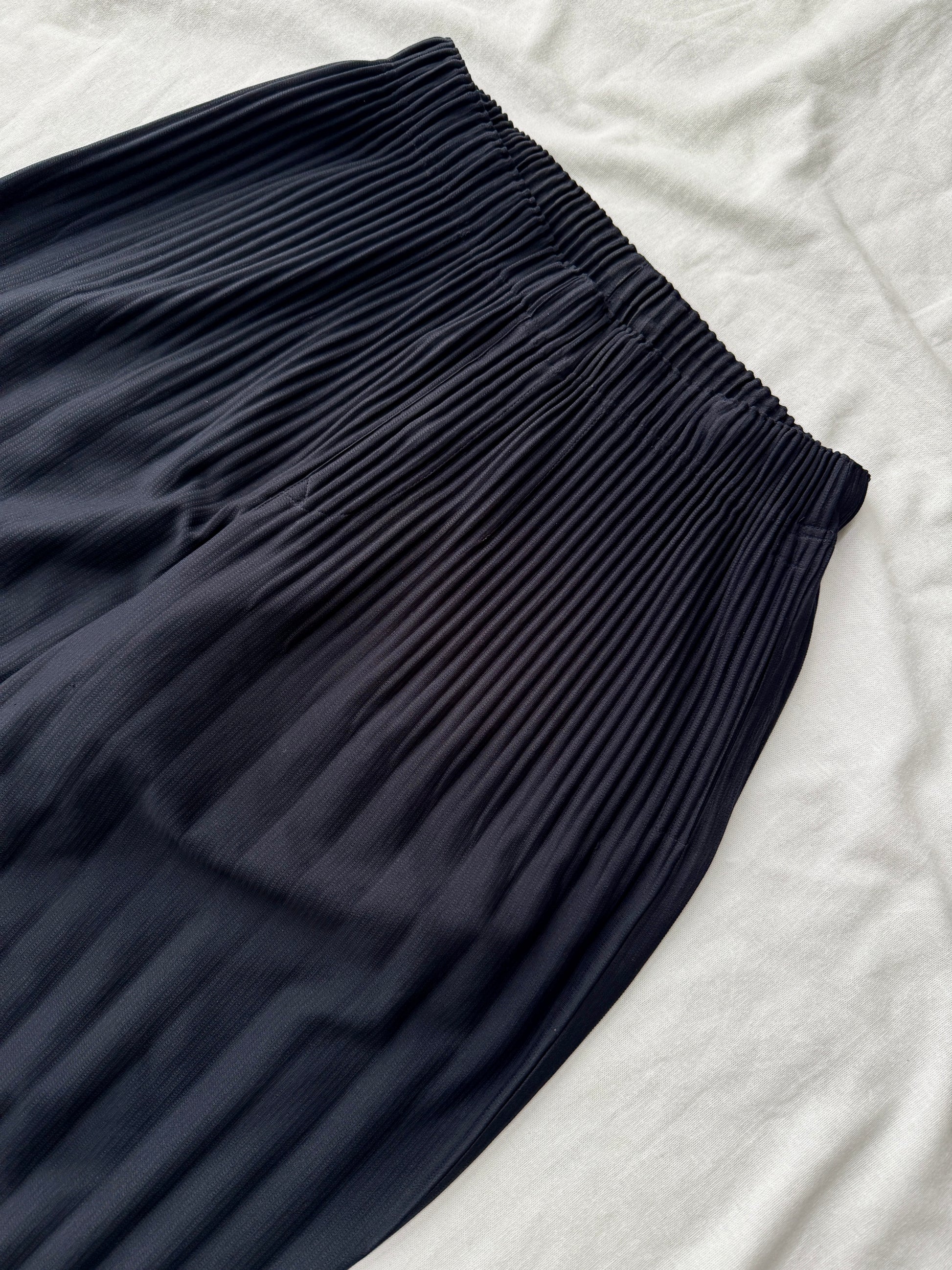 Homme Plisse Issey Miyake Double Pleated Pants