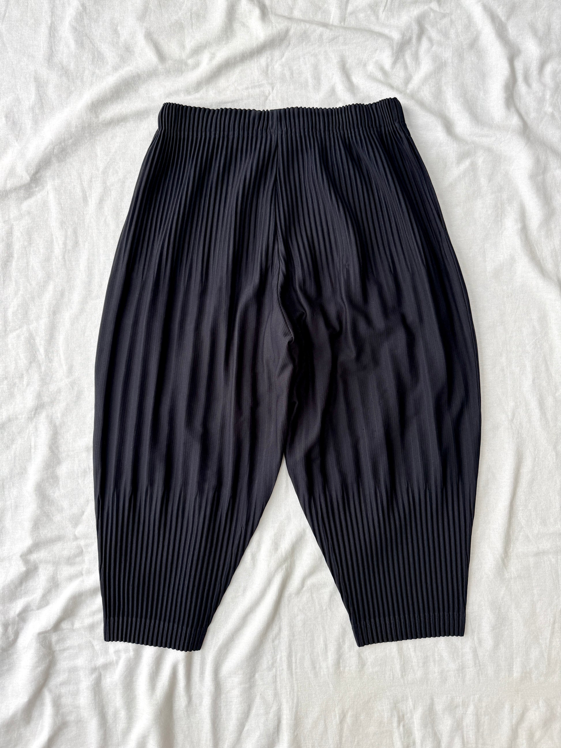 Homme Plisse Issey Miyake Double Pleated Pants