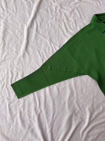 Homme Plisse Issey Miyake Buttoned Down Shirt - Parakeet Green